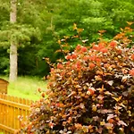 Gemuetliches In Ottenhai Mit Grill By Interhome *