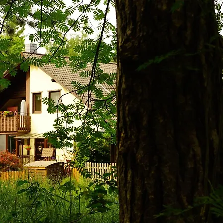 Gemuetliches In Ottenhai Mit Grill By Interhome Апартаменты Бад-Гарцбург