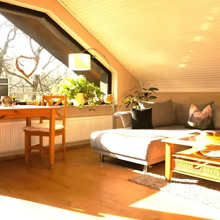Gemuetliches In Ottenhai Mit Grill By Interhome * Bad Harzburg