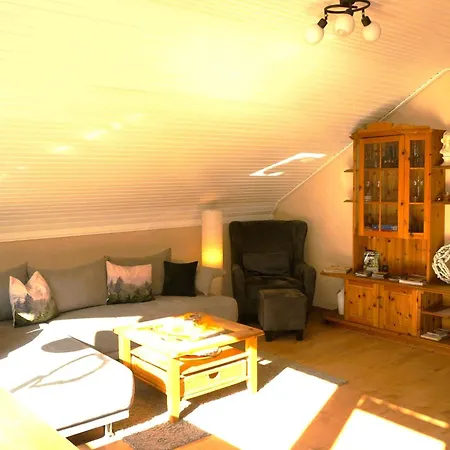Appartamento Gemuetliches In Ottenhai Mit Grill By Interhome