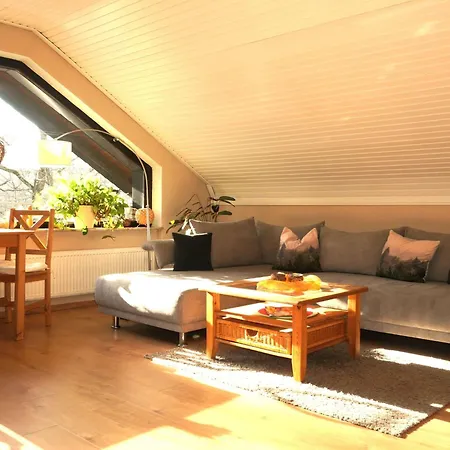 Appartamento Gemuetliches In Ottenhai Mit Grill By Interhome
