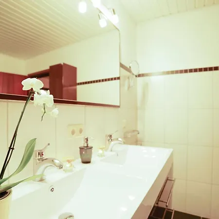 Gemuetliches In Ottenhai Mit Grill By Interhome * Bad Harzburg