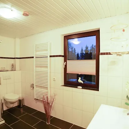 Gemuetliches In Ottenhai Mit Grill By Interhome Appartamento *