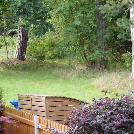Gemuetliches In Ottenhai Mit Grill By Interhome Appartamento