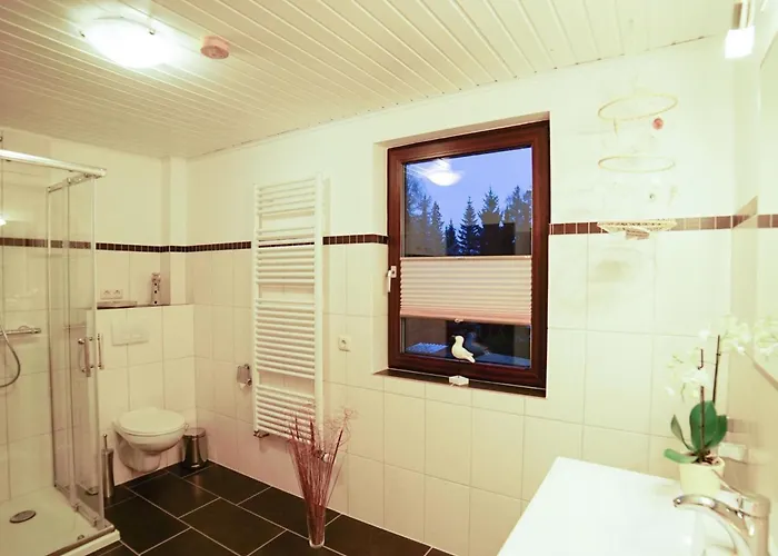 Gemuetliches In Ottenhai Mit Grill By Interhome Апартаменты *