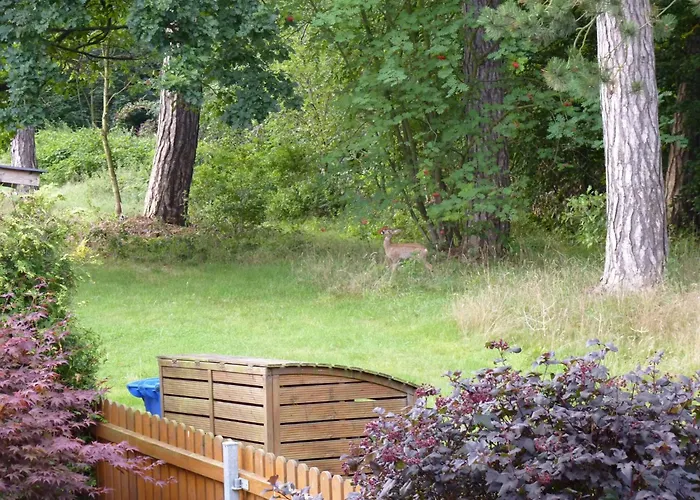 Gemuetliches In Ottenhai Mit Grill By Interhome Апартаменты